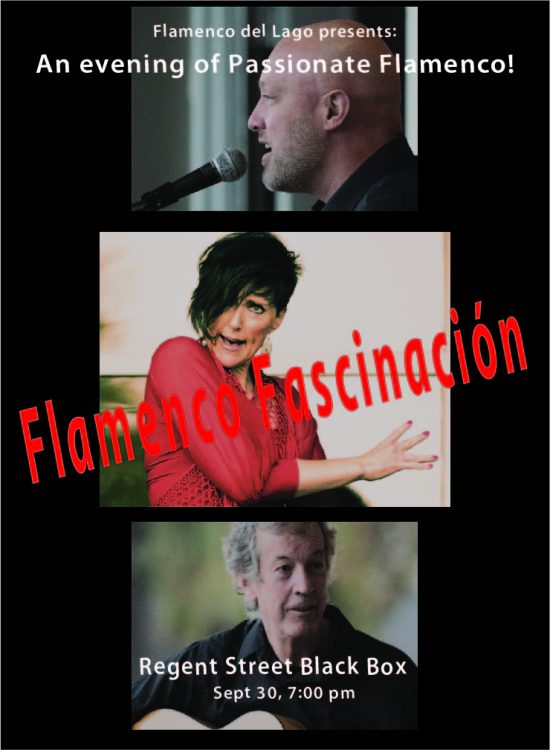 Flamenco Fascinación